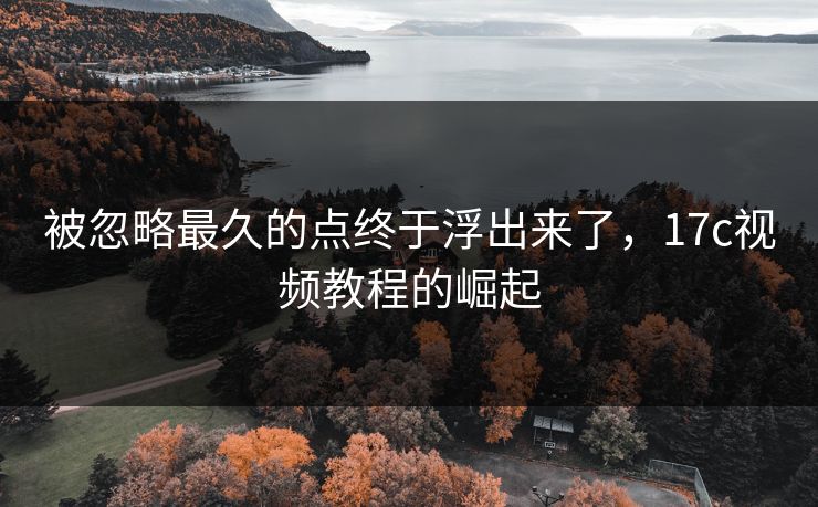 被忽略最久的点终于浮出来了，<strong>17C</strong>视频教程的崛起