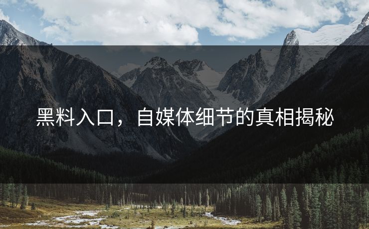 黑料入口，自媒体细节的真相揭秘